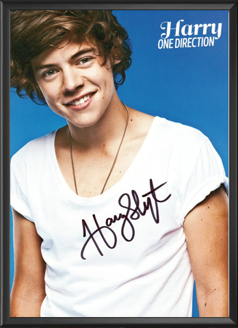 One Direction / Harry Styles - Signed Music Print